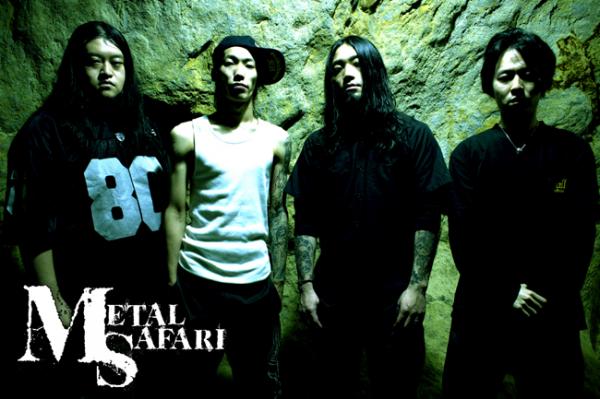 metalsafari