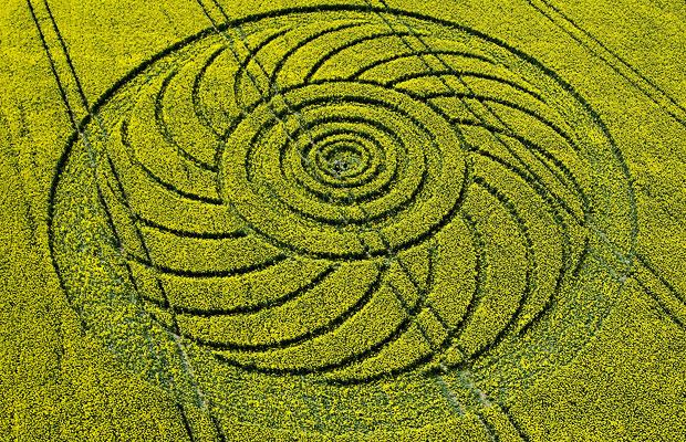 crop-circles-7_1414012i
