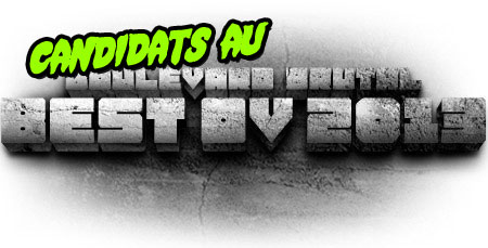 headerbestov2013_candidats