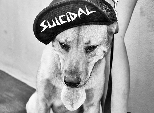 suicidal-hat