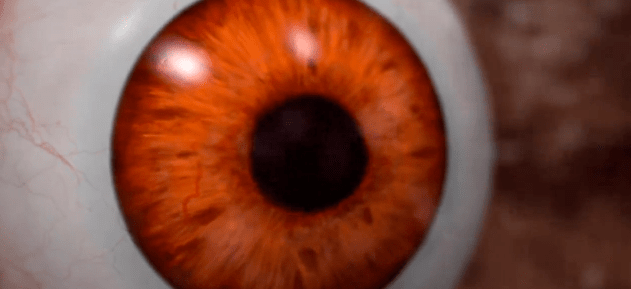 Capture d’écran 2014-05-06 à 14.15.48