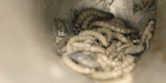 Screen Shot 2014-07-23 at 8.06.12 PM