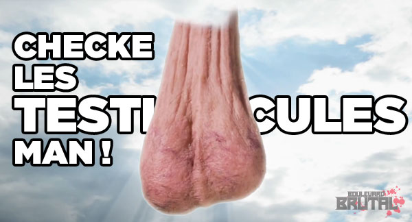 testiculessp