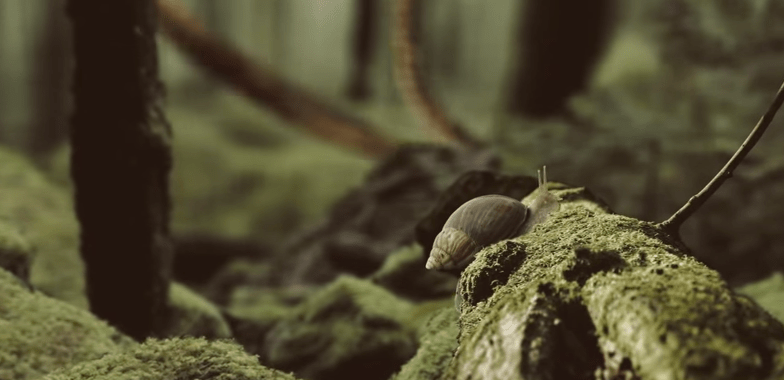 Screen Shot 2014-11-26 at 1.50.55 PM