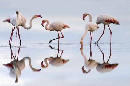 Deftones tease du nouveau&nbsp;matériel