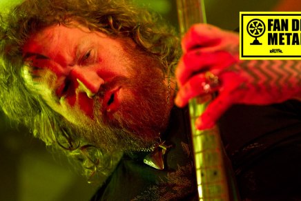 Une histoire de&nbsp;Mastodon