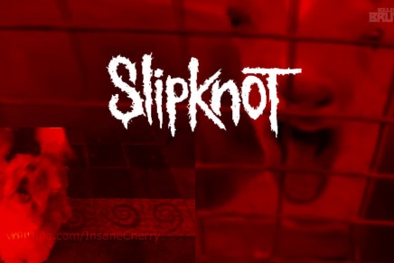Voici la meilleure reprise de SLIPKNOT… par des&nbsp;animaux