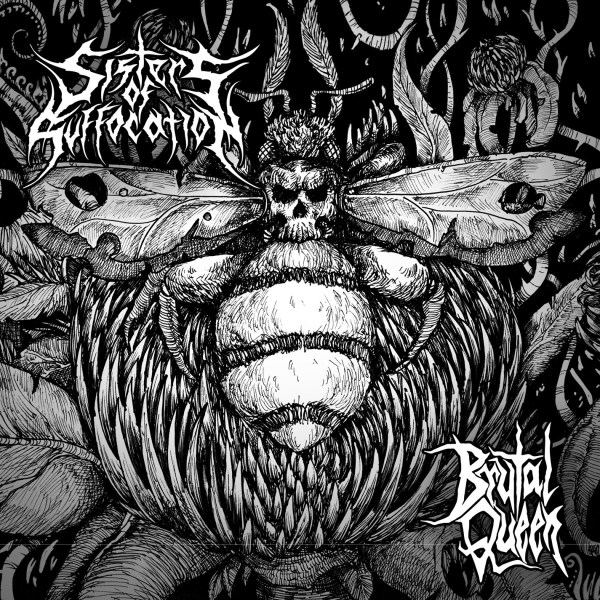 hhr2016-14_sisters_of_suffocation_-_brutal_queen