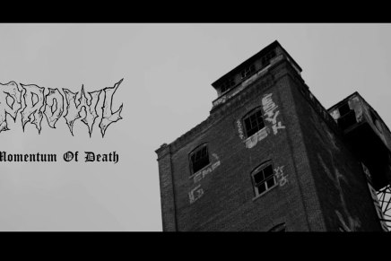 Si tu aimes le crossover, tu dois écouter&nbsp;PROWL