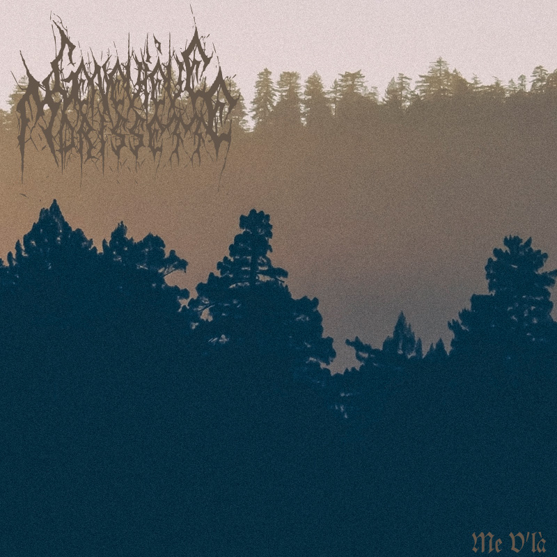 geneviève morissette me vla