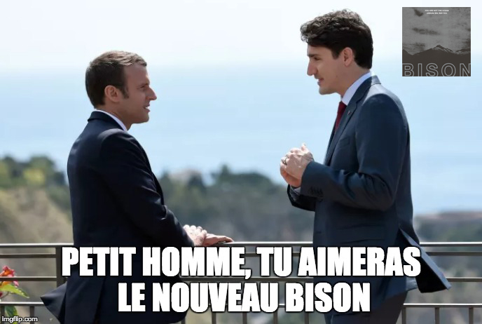 trudeau bison