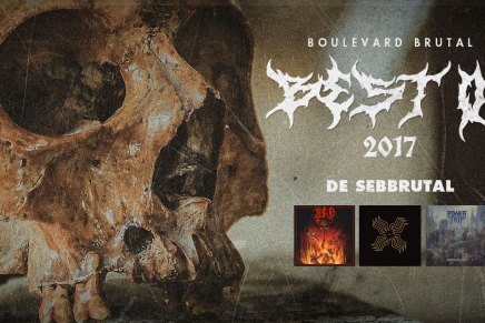 Le Best Ov 2017 de&nbsp;Sebbrutal