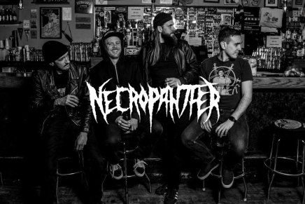 NECROPANTHER — entrevue avec la découverte de&nbsp;l’année