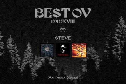 Le Best Ov 2018 de&nbsp;Steve