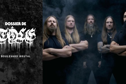 Dossier de tôle : Amon Amarth, les vrais&nbsp;guerriers