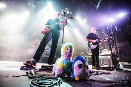 Devin Townsend : Retour sur le concert avec Haken et The Contortionist (26 février&nbsp;2020)